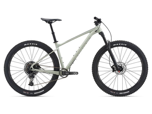 Giant Fathom 29 1 2021