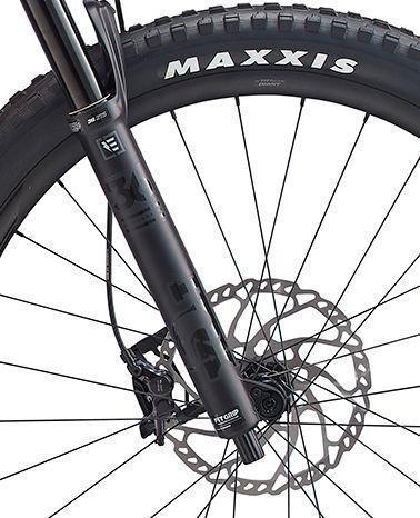 Reign géant et + 1 Pro - 2020